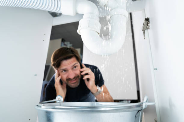 Best Sprinkler Systems  in Claryville, KY